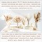120PCS Natural Dried Pampas Grass Boho Home Decor Bouquet Phragmites Dried Flowers Bouquet for Wedding Floral Arrangements Home Decorations (120PCS)